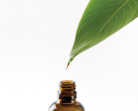 Essential Oils